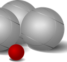 la boule  - Membre du site Pétanque Génération