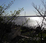 Mme - Membre du site Pétanque Génération