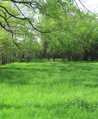 antoine antoinechampagne - Pointeur - Joueur de pétanque - Membre Pétanque Génération
