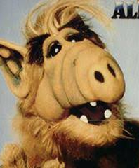 Frédéric TRAMARIN - Milieu - Joueur de pétanque - Membre Pétanque Génération