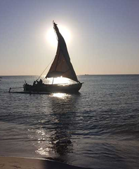 Regis Guillard - Milieu - Joueur de pétanque - Membre Pétanque Génération