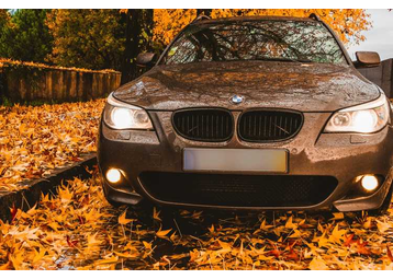Boule de pétanque -  