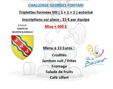 Concours de pétanque Officiel Vétéran - Baccarat