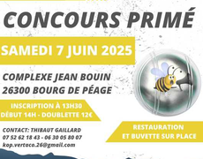 Concours de pétanque Ouvert à tous - Bourg-de-Péage