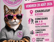 Concours de pétanque Officiel - Chadeleuf