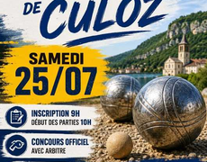 Concours de pétanque Officiel - Culoz