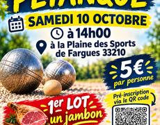 Concours de pétanque Ouvert à tous - Fargues