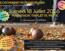 Concours de pétanque Officiel - Francheleins