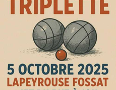 Concours de pétanque Officiel - LES PHENIXS