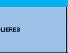 Concours de pétanque Officiel Promotion - Lieu non défini