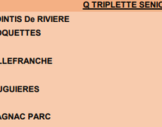 Concours de pétanque Officiel Masculin - Lieu non défini