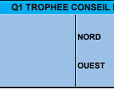 Concours de pétanque Officiel Vétéran - Lieu non défini
