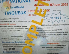 Concours de pétanque Officiel - Tinqueux