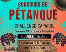 Concours de pétanque Officiel - ORCINES