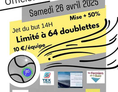 Concours de pétanque Officiel - Pleudihen-sur-Rance
