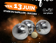 Concours de pétanque Ouvert à tous - Succieu
