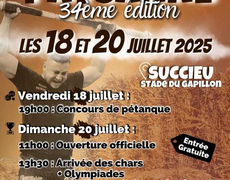 Concours de pétanque Ouvert à tous - Succieu