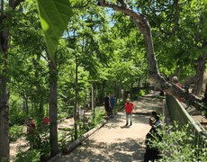 Concours en Doublette le 3 juillet 2026 - Villars - 84400