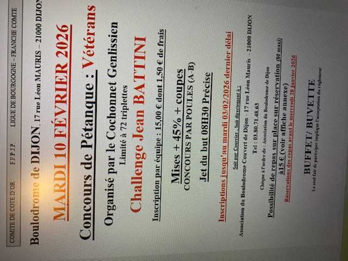 Concours de pétanque en Triplette - Départemental - Cochonnet Genlissien