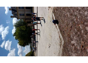 Boule de pétanque -  